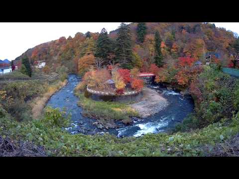 中野もみじ山　2018年