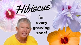 Hibiscus for Every Growing Zone | Different Types of Hibiscus