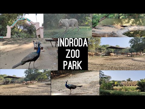 Indroda Nature Park | Indroda Park Gandhinagar | VlogGoals