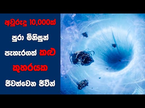 අවුරුදු 10,000ක් පුරා මිනිසුන් පැහැරගත් කළු කුහරයක ජීවත්වෙන ජීවීන් | Sinhala Movie Review