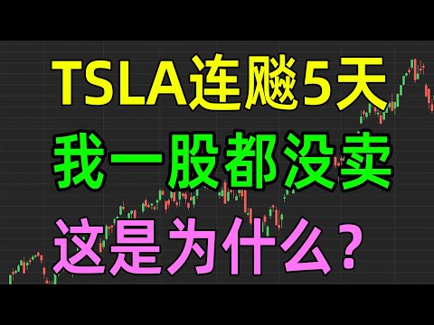 美股收评1111，TSLA连飚5天，我一股都舍不得卖，这是为什么？