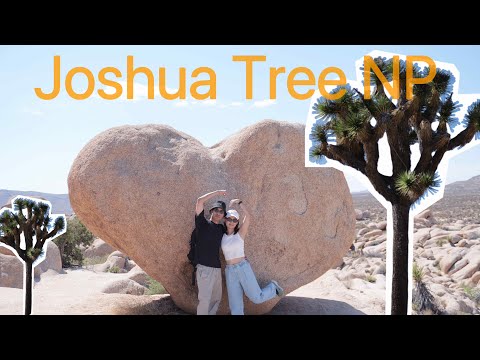 Joshua Tree NP丨南加州約書亞樹一日遊六個打卡點推薦、新月限定的星空及夏季銀河 ✨