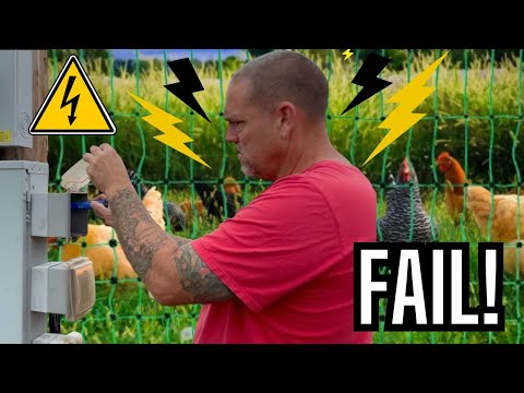 Electric Poultry Netting for Free Range Chickens | Securing Our Grow Out Pen Setup