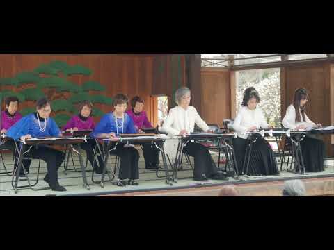 【祇園の女】大正琴奉納演奏#大正琴 #琴修会 #アンサンブル