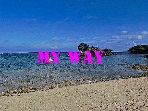 My Way　～エアロフォンで吹いてみた