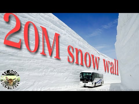 【20m】💰Over $720,000 for snow removal⛄Snow Wall Walk in Japan