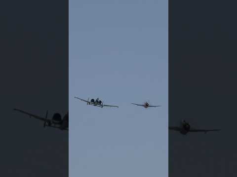 A-10 & P-47 Thunderbolts - USAF Heritage Flight