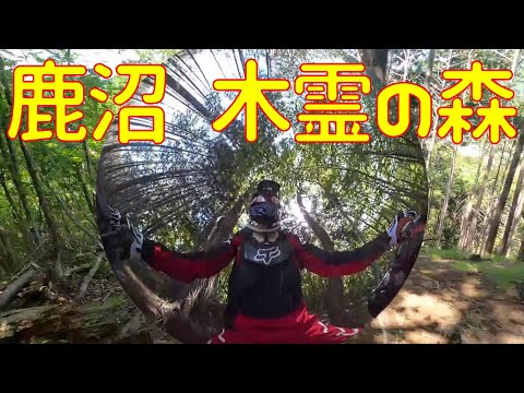 【CRF250R】鹿沼　木霊の森行ってみた【モトトレック】