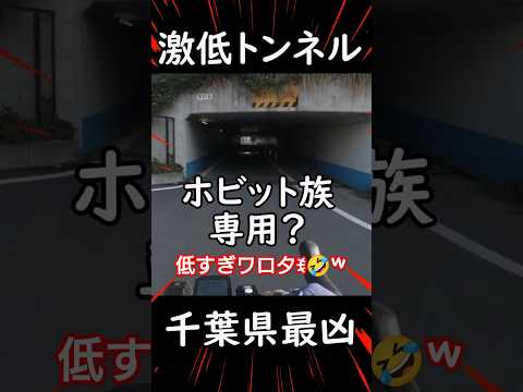 自転車でホビット族専用トンネル通過してみた😮低身長ロードバイク乗り激低隧道サイクリング/千葉県最凶