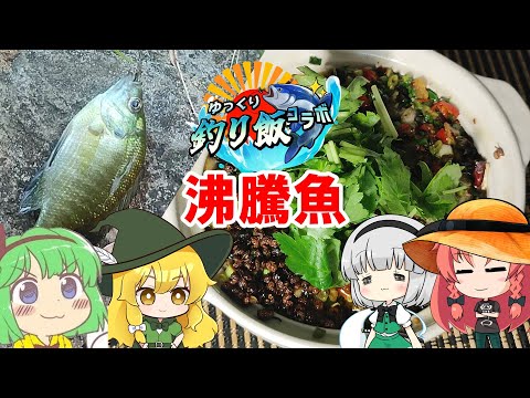 【特定外来生物】沸騰魚【ゆっくり釣り飯コラボ】