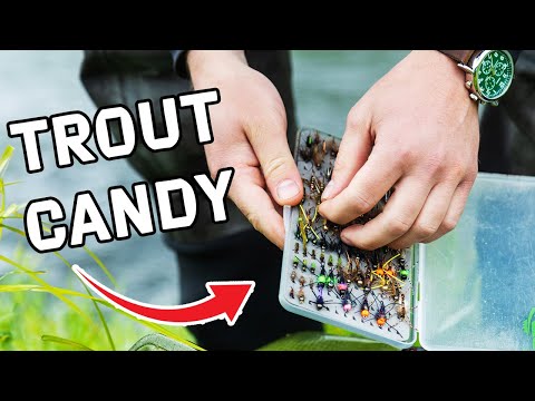 Best Trout Flies For Early Season | Top 10 Picks