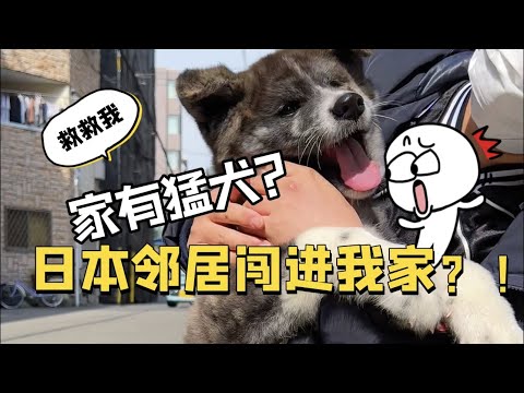 😂從來見不到人影的日本鄰居竟然闖進我家？！