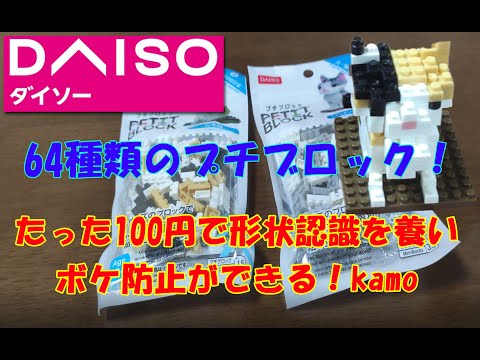 0020_DAISO 64種類のプチブロックたった100円でボケ防止に！?