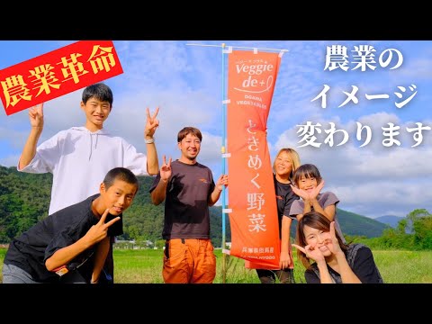 将来に悩む【中学生】【高校生】必見！！農業ってこんな仕事❗️#野菜