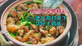 粤点粤菜粤精彩，一煲土鸡打天下，华仔土鸡店，粤语中字幕2025-1-1