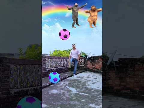 Football to Dog🐕, monkey🐒, spider man🕷️,, frogs🐸||#shortsvideo #shorts #short