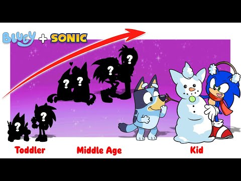 Bluey Meet Sonic Boom Growing Up Evolution | Go WOW