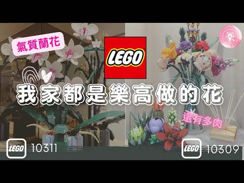 【咕咕啦啦來開箱】樂高 LEGO 10309 多肉植物 & 10311 蘭花 來開箱! Succulents & Orchid