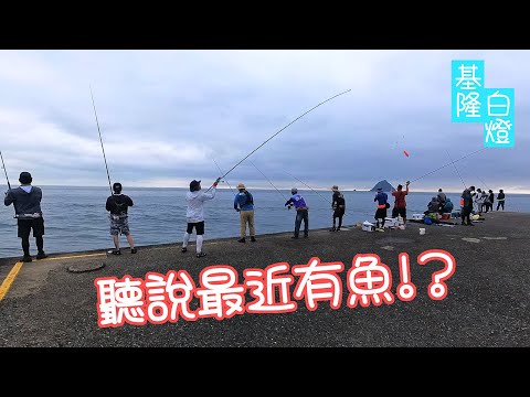 聽說最近有魚了!? 讓我來看看是不是真的? #LPGM5 #基隆白燈 #路亞岸拋