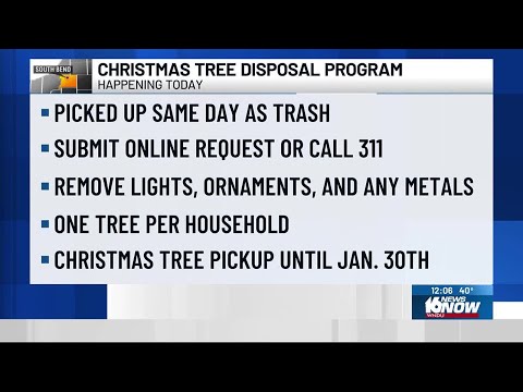 South Bend offering free Christmas tree disposal