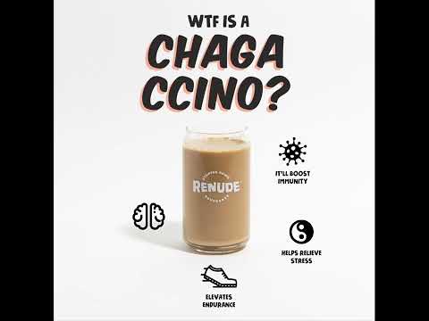 What is a chaga ccino? | coffee benefits