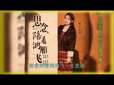 【思念陪着鸿雁飞】演唱 :王思雨