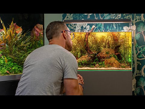 THIS ONE AQUARIUM HACK CHANGES EVERYTHING (4K)