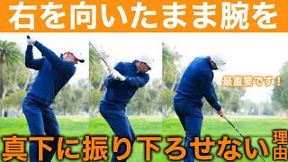 ガチで知っておくべき【ダウンスイング】腕とクラブを右を向いたまま振り下ろしインパクトに勝手に戻る下ろし方。