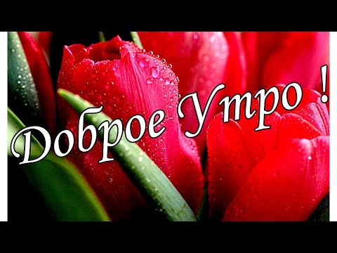 С ДОБРЫМ УТРОМ !🌼Желаю Самого Доброго Солнечного Утра!🌼  Шикарная Музыкальная открытка 🌼