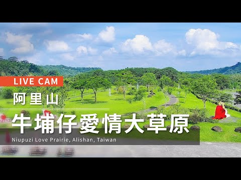 Live cam-Alishan【阿里山美景直播】-牛埔仔愛情大草原Highway 18 Love silk road (Niupuzai Grassland)