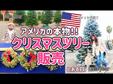 【アメリカ子育てのとある日】本物のクリスマスツリーを見に行ったら色々予想しなかった事が起きました！　アメリカ生活｜とある日｜クリスマス｜国際結婚