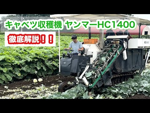 【キャベツ収穫機】ヤンマーHC1400徹底解説