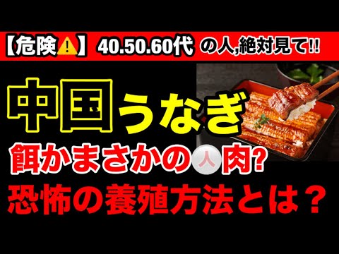 【超危険】障害確定？中国産のうなぎの養殖方法が恐怖すぎた！中国産うなぎの危険性とオススメ３選！