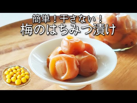 梅 はちみつ 漬け 保存袋で３日で作れる！キズ梅の救済レシピ 疲れ知らずに【簡単！梅仕事】 はちみつ 梅干し