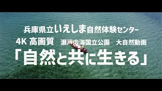 自然と共に生きる　兵庫県立いえしま自然体験センター公式　4K高画質大自然動画　(兵庫県姫路市　家島諸島)