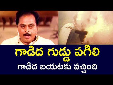 THE DONKEY'S EGG CRACKED AND THE DONKEY CAME OUT | CHANDRA MOHAN | BABU MOHAN | V9 VIDEOS