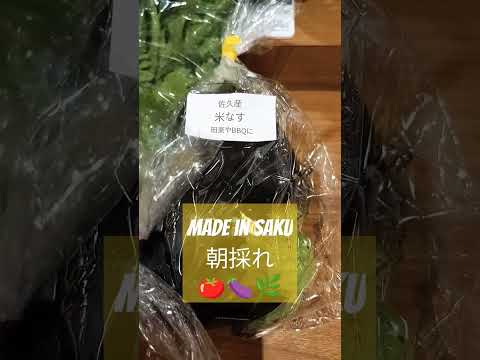 トマト・トマト・トマト〜佐久市産🍅🍆🌿Tomato, tomato, tomato ~ from Saku City 🍅🍆🌿