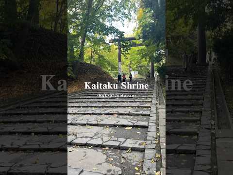 【開拓神社】有酸素ついでに撮った動画あげてみる【勝手に北海道PR】 #kaitakushrine #shrine #jinja #神社 #japan #hokkaido #北海道