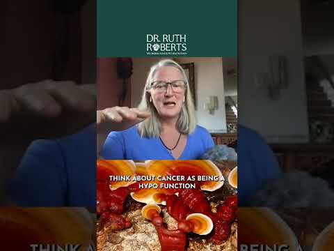 Reishi for Dogs and Cats