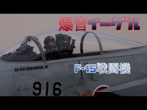 【最強戦闘機】まだまだ最前線で飛んでるF-15イーグル！デカい機体だけに貫禄が凄い！