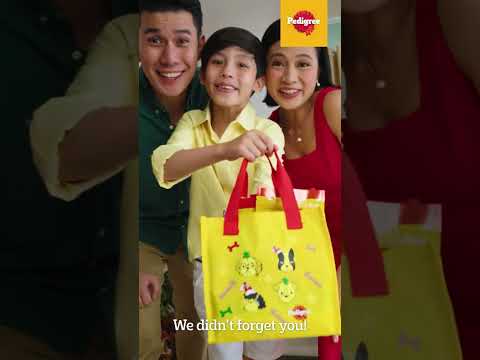 Pedigree® Santa Paws Gift Bag Digital Ad Q4 2024 15s (Philippines, Version 1) [BCC/ST] #Shorts