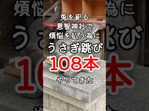 卯年も終わるので煩悩を払う為に兎を祀る恩智神社でうさぎ跳び108本 #shorts #恩智神社 #training