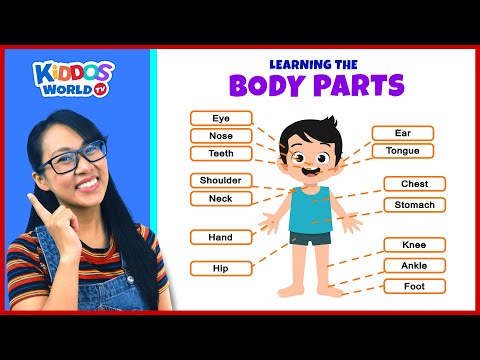 Learning the Parts of the Body for Children with Miss V