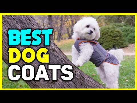 👌Top 4: Best Dog Coats in 2024 - The Best Dog Coats [Reviews]