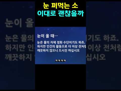 눈 퍼먹는 소 #원신 #소 #느비예트