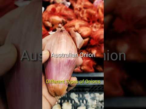 Different Types of Onions