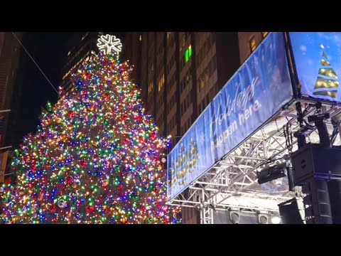 Countdown & Lighting 🎄 Wall Street Christmas Tree 2024