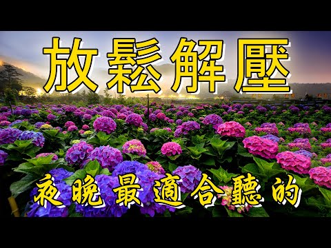 【非常好听】🎷🎷週末聽50首最好的老音樂 🌺早上最適合聽的輕音樂 🎵 每天調心洗滌心性 - 薩克斯風 - 無廣告音樂  - 轻音乐 - 探戈老歌 Old Taiwanese Music