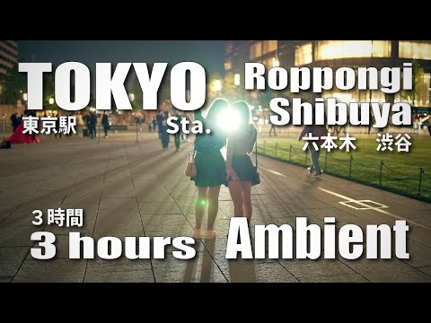 夜散歩 ３時間 東京駅～六本木～渋谷 / 3hours Night walk Tokyo Sta. to Shibuya via Roppong, Ambient (November 3, 2024)