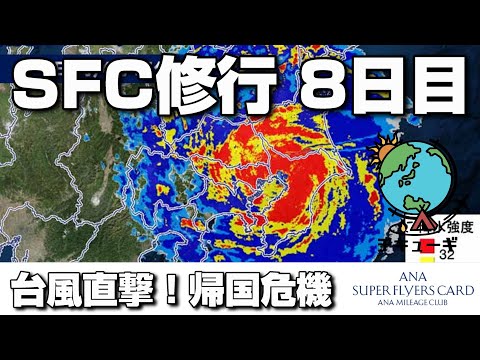 【SFC修行】全8日間でプラチナ会員へ！８日目『台風直撃！帰国の危機！？』